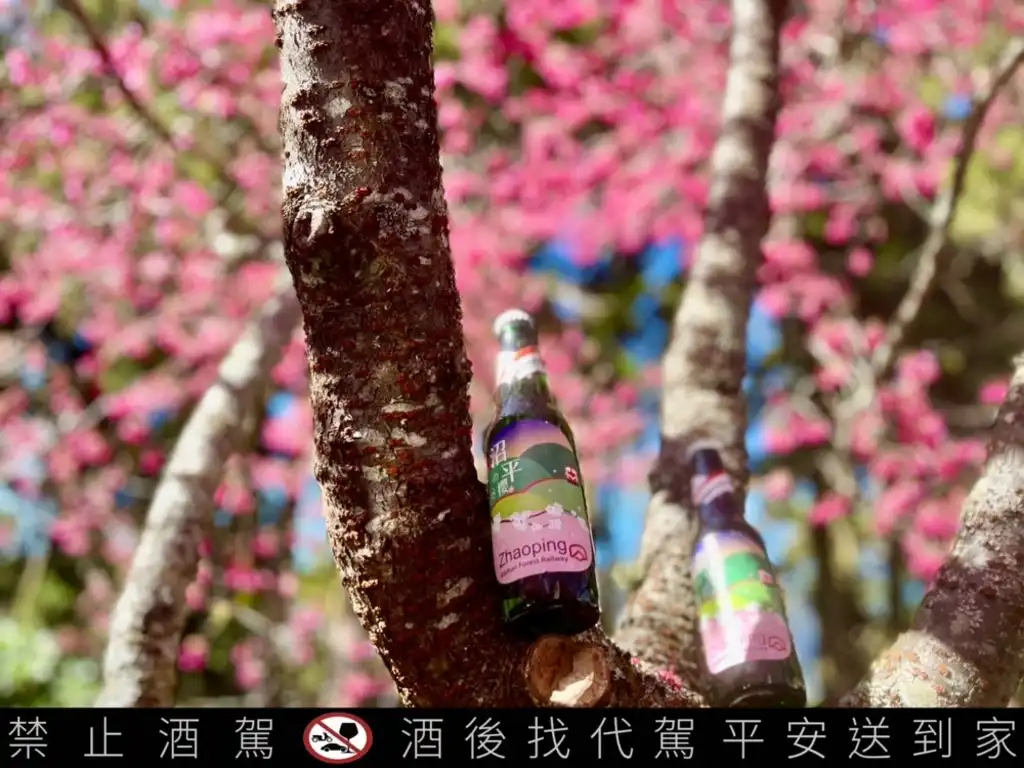 Q:Taiwan News