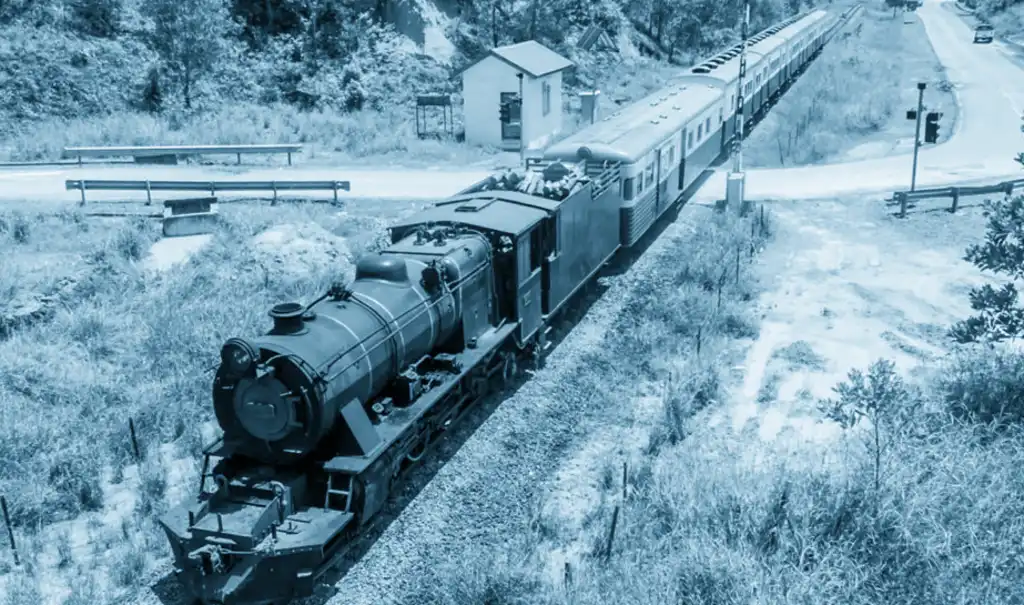 Jungle Railway